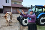 Kozan’daki selde hayvanları telef olan kadın: "Bir anda sel geldi, ahırın üstünü aştı"
