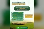 Küçükbaş üreticilerine "Kırsalda Bereket" projesi başlıyor
