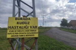 Kuduz nedeniyle mahalleye giriş çıkışlar yasaklandı 