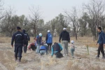 Kulu ve Karapınar’da fidanlar toprakla buluştu
