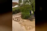 Kuraklığın ardından gelen sağanak İznik’i vurdu