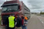 Kurban Bayramı öncesi Aydıntepe’de yol kontrolleri devam ediyor