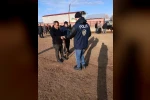 Kurban Bayramı öncesinde Ağrı’da sıkı denetim