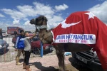 Kurban pazarının gözdesi deve 330 bin TL’ye satıldı