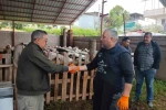Kurbanlıklar satışa çıktı, pazarlıklar kızıştı