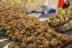 "Kuru incir ihracatında, üretici üzerine kirli oyun iddiası"