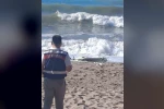 Kurucaşile’de plajda silahlı insansız hava aracı bulundu