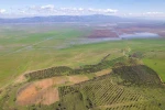 Kuruyan Marmara Gölünde umutlandıran görüntü