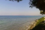 Kuşadası’nda deniz suyu kalitesi yüz güldürdü