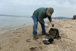 Kuşadası’nda iki deniz kaplumbağası ölü bulundu