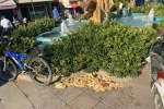 Kuşlar için bırakılan ekmekler çevre kirliliğine neden oldu