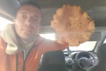 Kütahya’da bulunan dev mantar şaşırttı