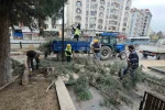 Kütahya’da fırtına ve aşırı rüzgâr ağaçları devirdi