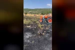 Kütahya’da orman yangını paniğe sebep oldu