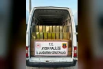 Kuyucak’ta 780 bin TL değerinde taklit zeytinyağı ele geçirildi