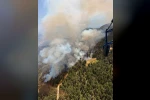 Kuyucak’ta orman yangını