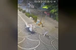 Lüleburgaz’da mazgal hırsızlığı kamerada