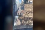 Madde kullanarak motosiklet sürdü