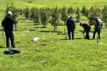 Mahalle halkı imece usulü gölet yaptı