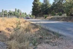 Mahalle muhtarından yol kenarlarındaki kurumuş otlar için ’yangın’ uyarısı