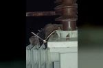 Mahalledeki elektrik kesintisinin sebebi sansar çıktı