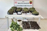 Malatya’da 13 kilo esrar ele geçirildi: 5 şahıs tutuklandı