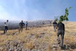 Malatya’da anız yangını