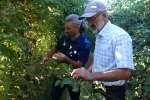 Malatya’da bitkisel üretim çeşitliliğinde üzümsü meyvelerin üretimi yaygınlaşıyor