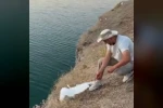 Malatya’da oltaya balık yerine martı takıldı
