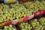 Malatya’da yaş kayısı tezgahlarda yerini aldı