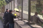 Maltepe’de ormanda erkek cesedi bulundu