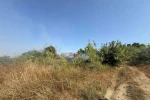 Manavgat’ta kamışlık alanda çıkan yangın söndürüldü