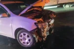 Manavgat’ta trafik kazası: 3 yaralı