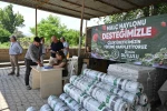 Manisa Büyükşehir’den çilek üreticilerine malç naylonu desteği