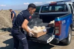 Manisa’da 49 kilo bozuk peynir imha edildi