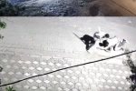 Manisa’da kız meselesi kavgası: 6 yerinden bıçaklandı