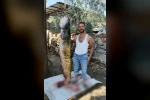 Manisa’da oltayla 2 metrelik yayın balığı yakaladı
