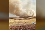 Mardin’de anız yangını