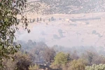 Mardin’de çıkan orman yangını söndürüldü