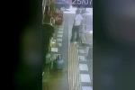 Mardin’de iş yerinin önündeki papağanın çalındığı anlar kamerada
