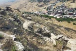 Mardin’de ormanlık alanda çıkan yangın söndürüldü