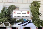 Mardin’de uyuşturucu operasyonlarında 38 şüpheli yakalandı