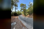 Marmaris orman ekipleri yıl boyunca yangınlara karşı teyakkuzda