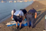 Marmaris’te denizde erkek cesedi bulundu