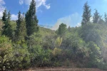 Marmaris’te yıldırım kaynaklı orman yangını