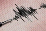 Meksika’da 6.5 büyüklüğünde deprem