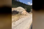 Menteşe’de bin yıllık sarnıç için destek çağrısı