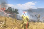 Menteşe’de makilik yangını