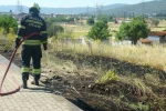 Menteşe’de yol kenarına atılan sigara izmariti yangın çıkardı
