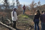 Menteşe’nin gönüllü gençlerinden örnek çevre hareketi